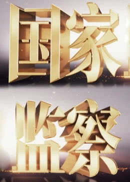国家监察海报剧照