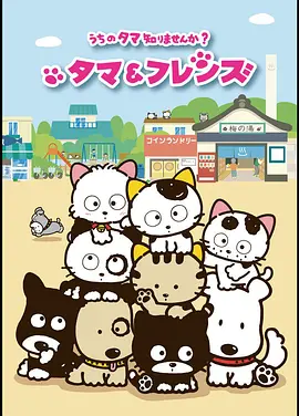 猫狗宠物街 第一季海报剧照