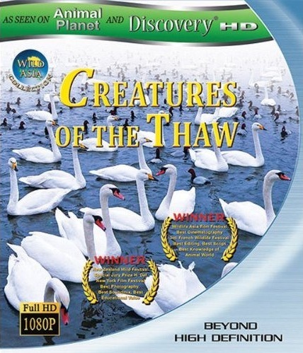 2009动物星球之惊奇之岛海报剧照