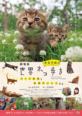 岩合光昭の猫步走世界~镰仓~海报剧照