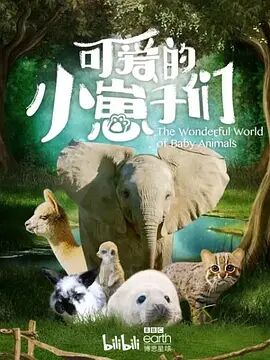 可爱的小崽子海报剧照