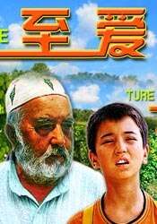 至爱海报剧照
