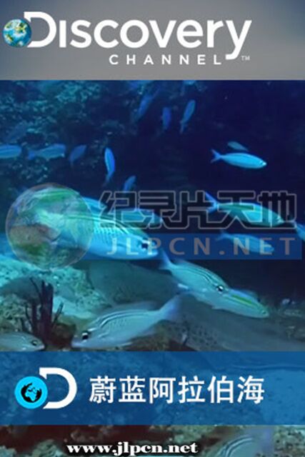 蔚蓝阿拉伯海海报剧照