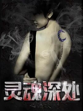 灵魂深处之心迷攻海报剧照
