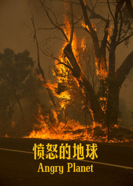 愤怒的地球海报剧照