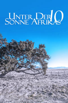 走进非洲10：梦想树海报剧照