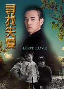 寻找失爱海报剧照