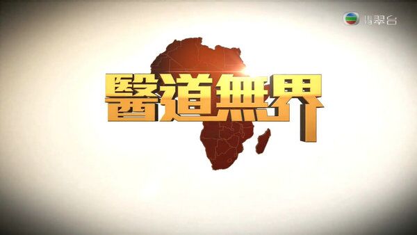 医道无界粤语海报剧照