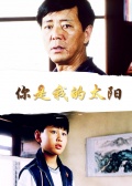 你是我的太阳海报剧照