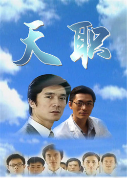 天职2009海报剧照