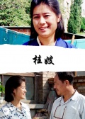 桂嫂海报剧照