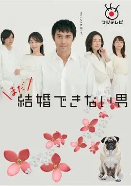还是不能结婚的男人粤语海报剧照