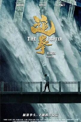 追拳海报剧照