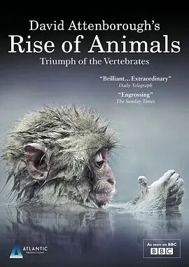 动物的崛起：脊椎动物的胜利海报剧照