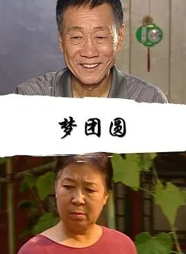 梦团圆2004海报剧照