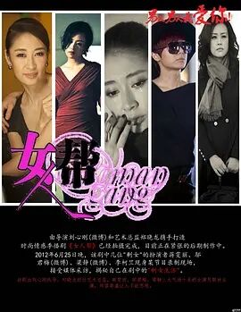 女人帮2013海报剧照