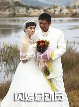 闪婚总动员海报剧照