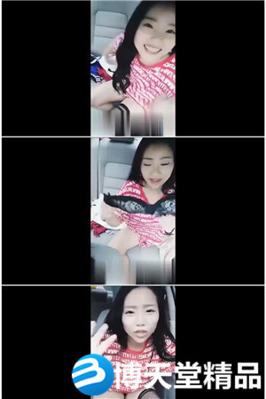 [国产剧情]正妹网红换上空姐制服~和网友在车上浪操一波海报剧照