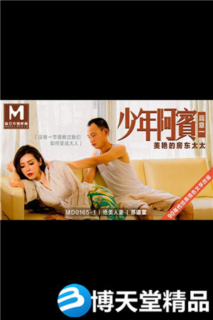 [国产剧情]少年阿宾.篇章一.美艳的房东太太.麻豆海报剧照
