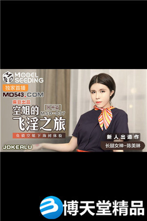 [国产剧情]空姐的飞淫之旅.负债空姐下海初体验.麻豆海报剧照