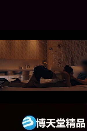 穿着情趣皮衣的女伴海报剧照