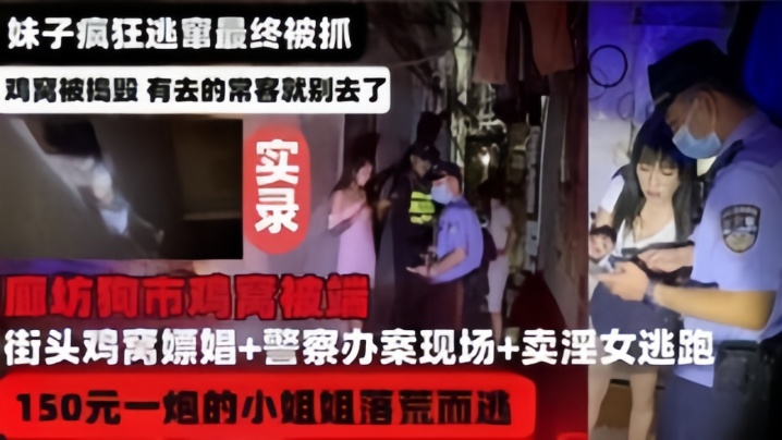 【河北廊坊鸡窝被端实录】妹子疯狂逃窜最终被捉海报剧照