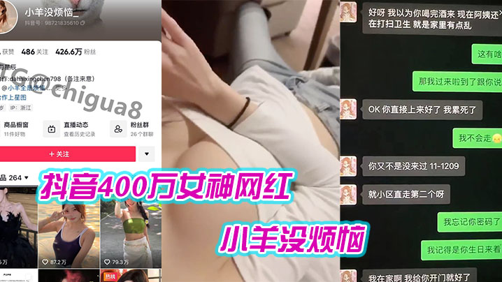抖音400万女神网红“小羊没烦恼“ 普宁云朵酒店出轨约炮被曝光海报剧照
