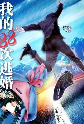 我的88次逃婚海报剧照