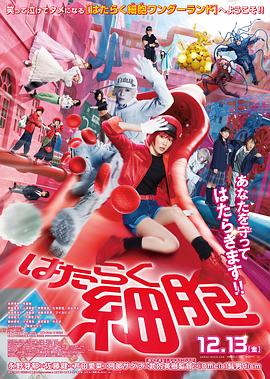 工作细胞真人版海报剧照