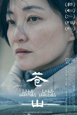 苍山海报剧照