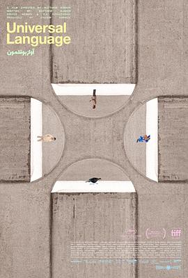 共同的语言海报剧照