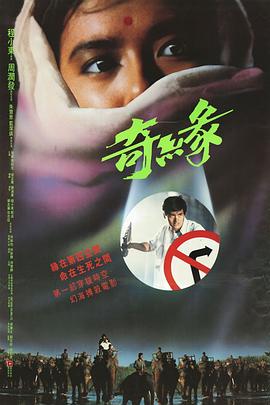 奇缘粤语海报剧照