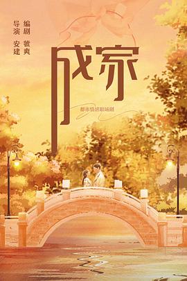 成家海报剧照