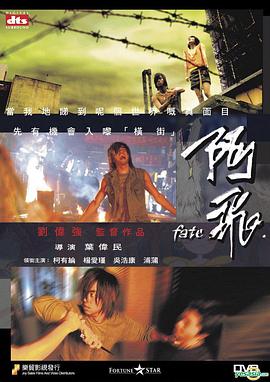 阿飞粤语海报剧照