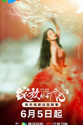 绽放的许开心海报剧照