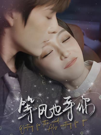 等风也等你海报剧照