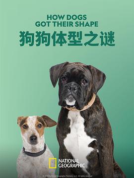 狗狗体型之谜海报剧照