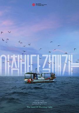晨海的海鸥海报剧照