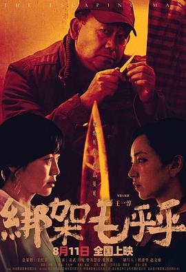 绑架毛乎乎海报剧照