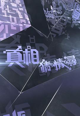 真相猜·情·寻海报剧照