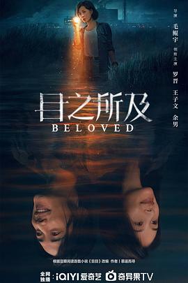 目之所及海报剧照