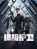 终极护卫海报剧照