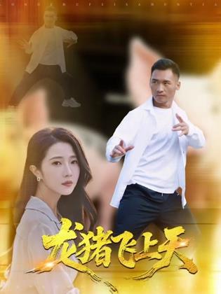 龙猪飞上天海报剧照