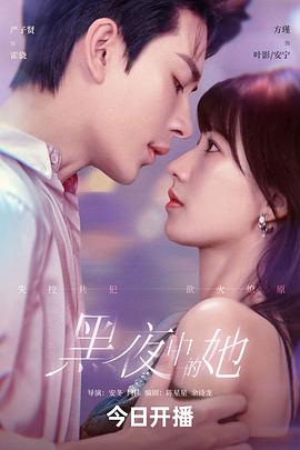 黑夜中的她海报剧照