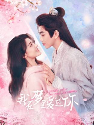 我在梦里爱过你海报剧照