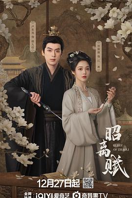 昭离赋海报剧照